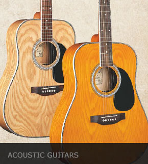 ACOUSTIC GUITARS